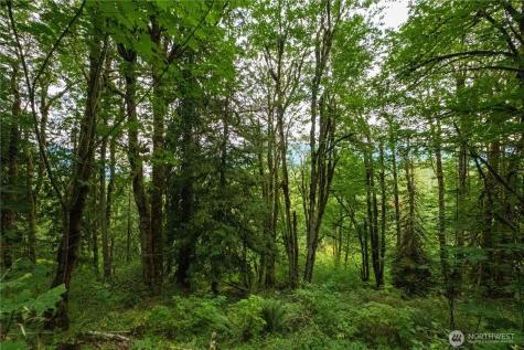 245 SE 146th Street Issaquah WA 98027