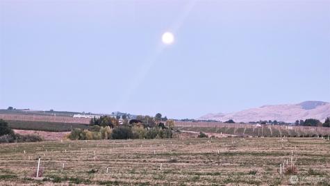 125498 W Mccreadie Prosser WA 99350