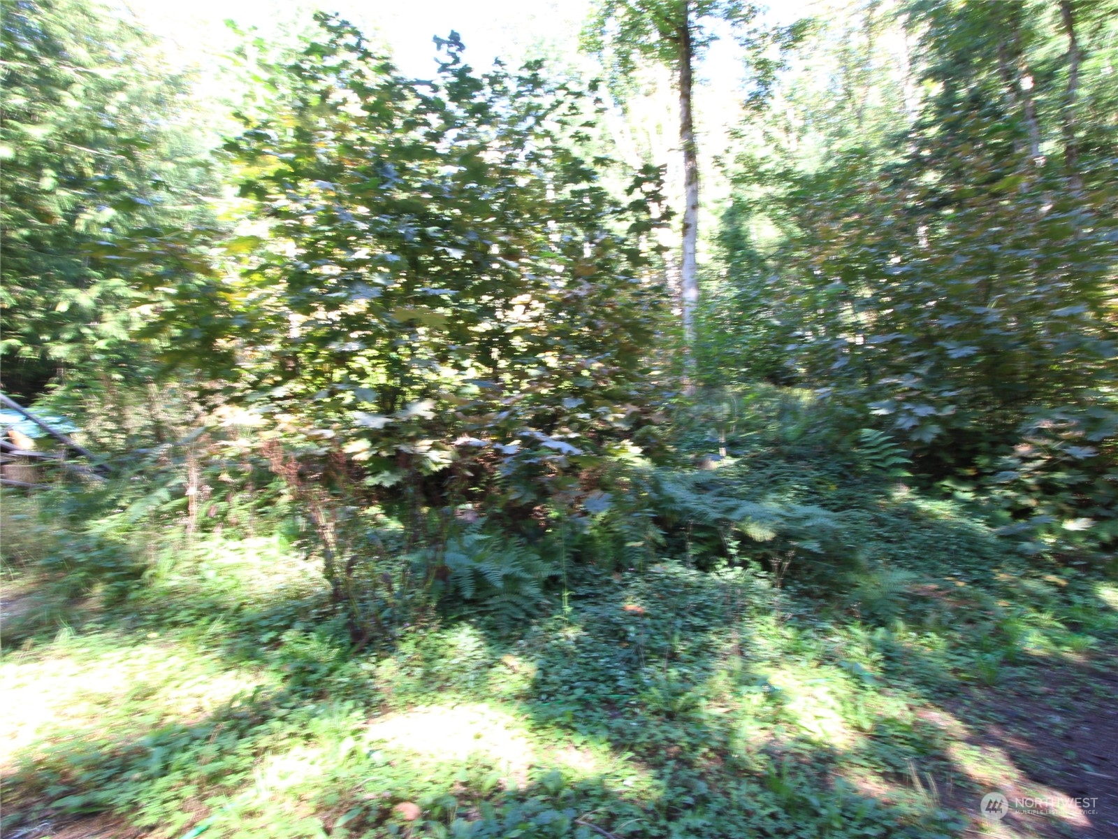 6426 Santa Fe Trail Maple Falls WA 98266