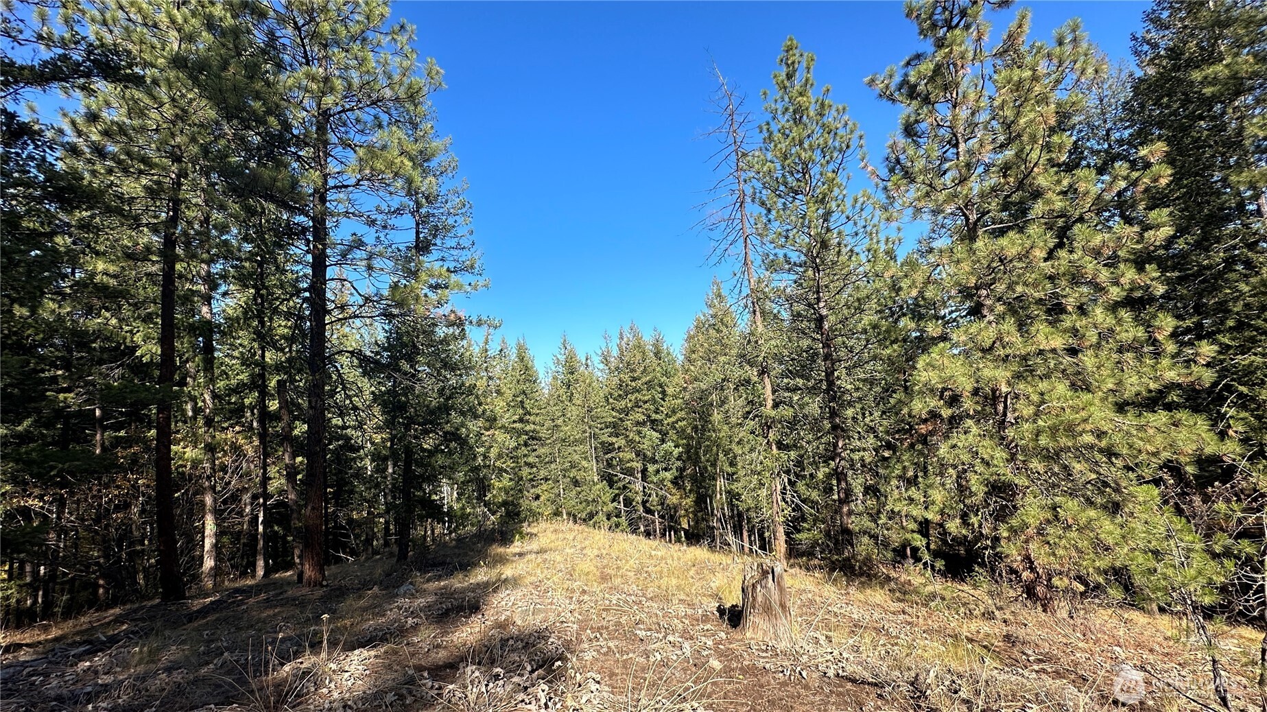 142 Red Pine Court Winthrop WA 98862
