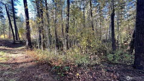 142 Red Pine Court Winthrop WA 98862