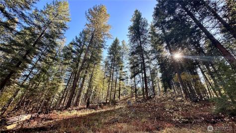 142 Red Pine Court Winthrop WA 98862