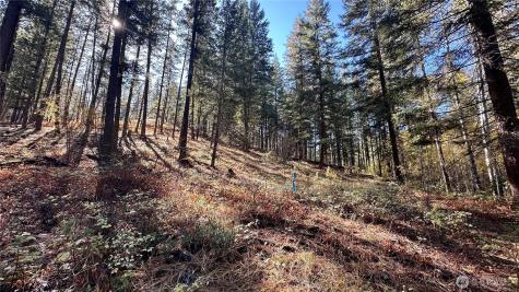 142 Red Pine Court Winthrop WA 98862