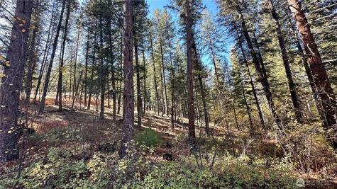 142 Red Pine Court Winthrop WA 98862