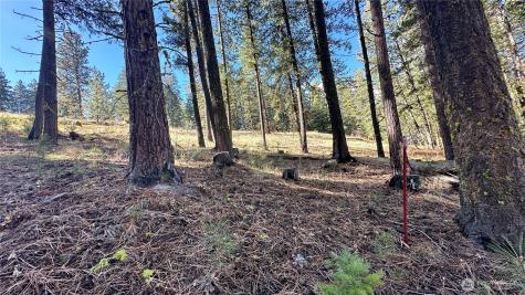 142 Red Pine Court Winthrop WA 98862