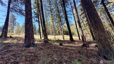 142 Red Pine Court Winthrop WA 98862