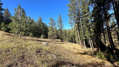 142 Red Pine Court Winthrop WA 98862
