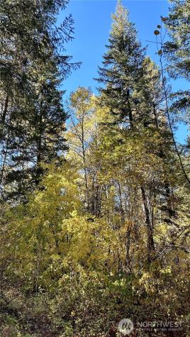 142 Red Pine Court Winthrop WA 98862