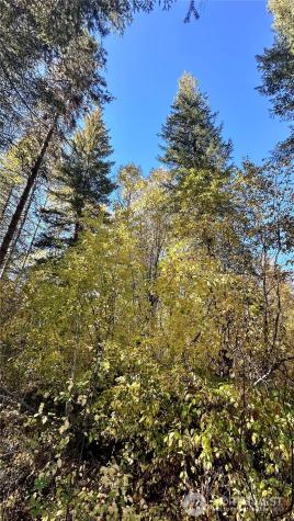 142 Red Pine Court Winthrop WA 98862