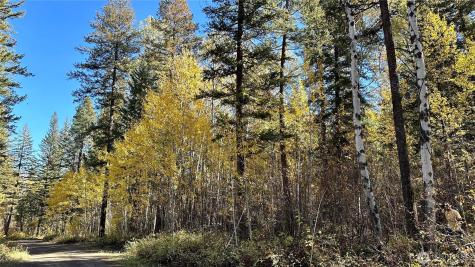 142 Red Pine Court Winthrop WA 98862
