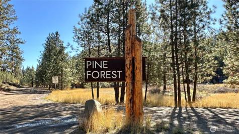 142 Red Pine Court Winthrop WA 98862