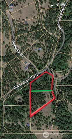 142 Red Pine Court Winthrop WA 98862