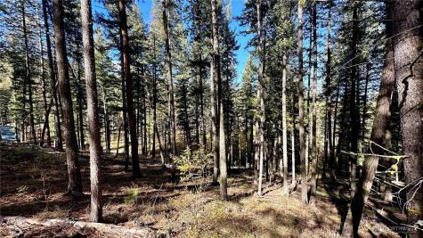 142 Red Pine Court Winthrop WA 98862