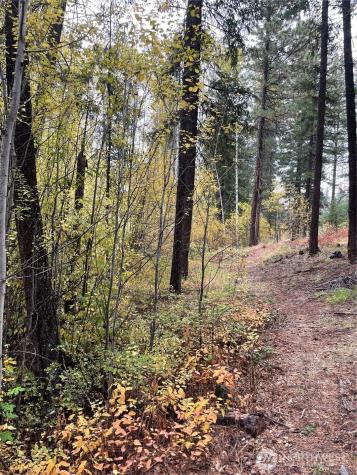 142 Red Pine Court Winthrop WA 98862