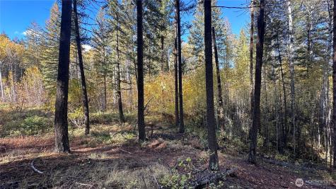 142 Red Pine Court Winthrop WA 98862