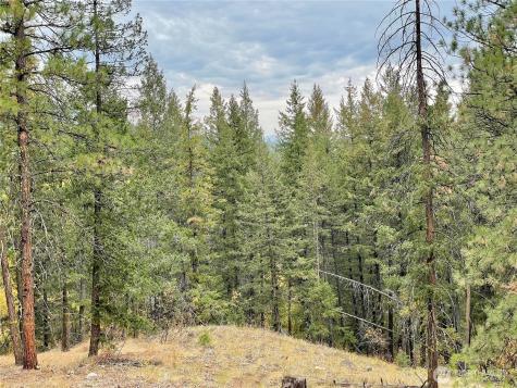 142 Red Pine Court Winthrop WA 98862
