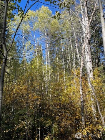 142 Red Pine Court Winthrop WA 98862
