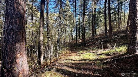 142 Red Pine Court Winthrop WA 98862