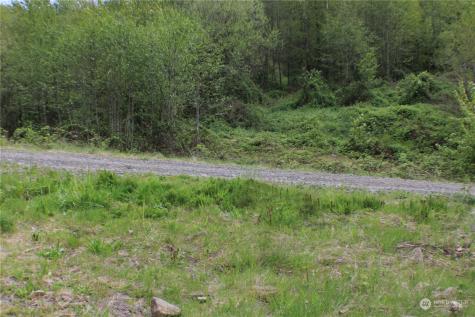 0 Tybren Heights Road Kelso WA 98626