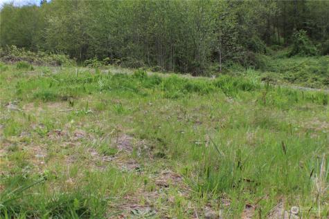0 Tybren Heights Road Kelso WA 98626
