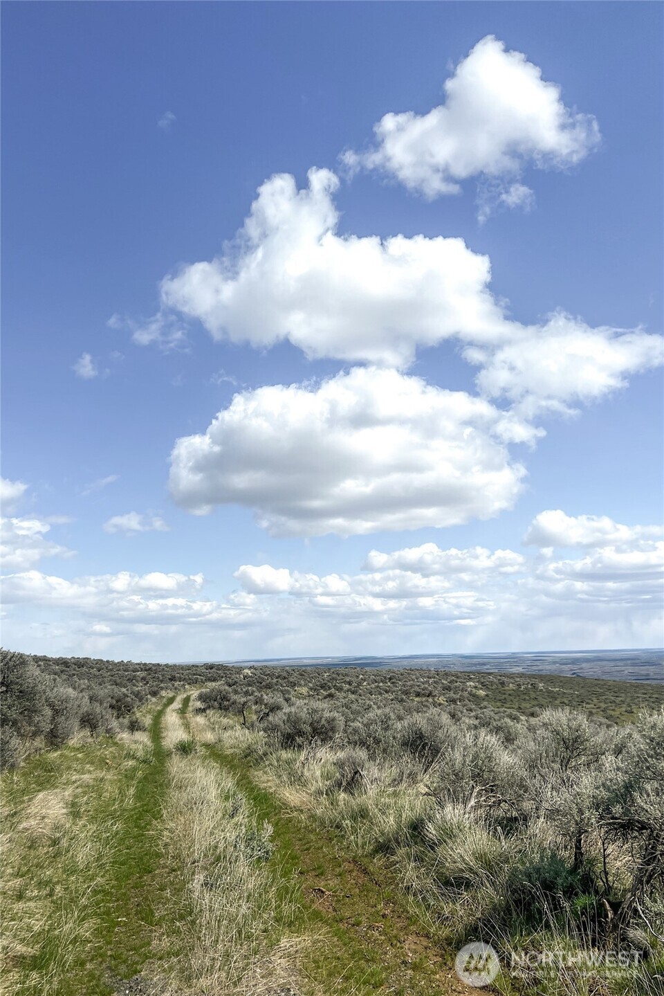 3060 Altura Lane NE Coulee City WA 99115
