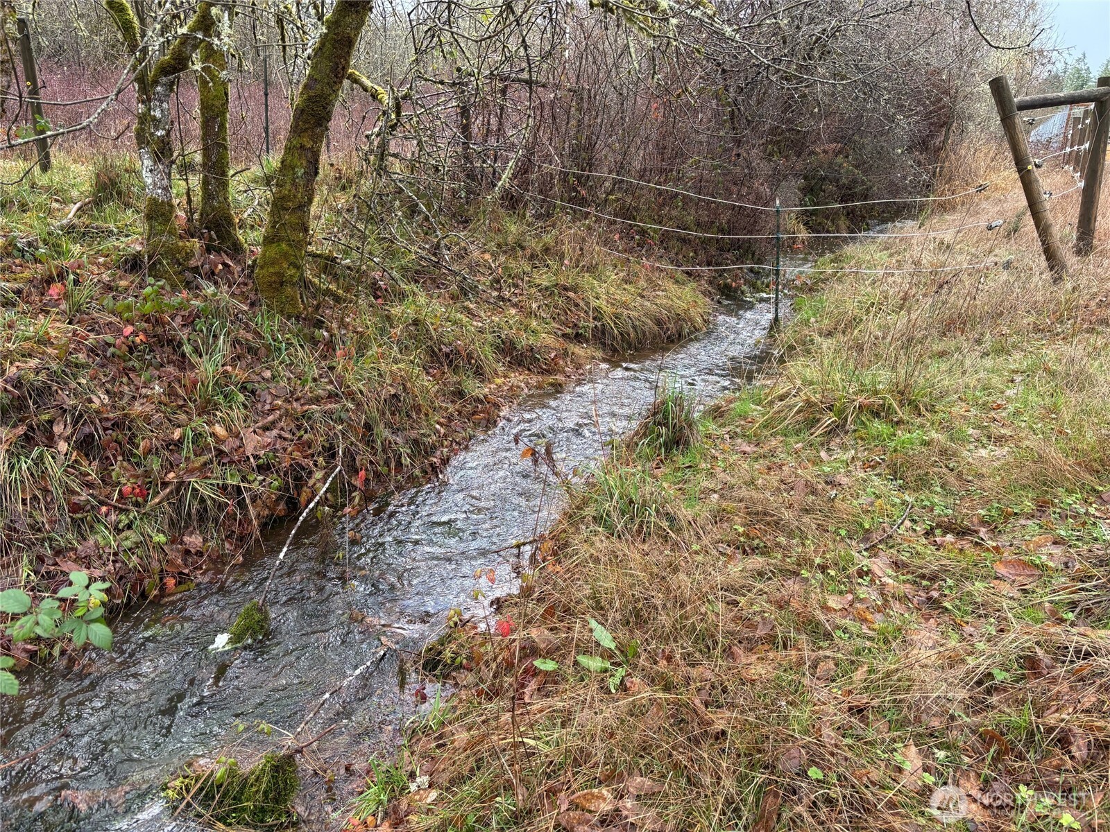 0 Byham Road Winlock WA 98596
