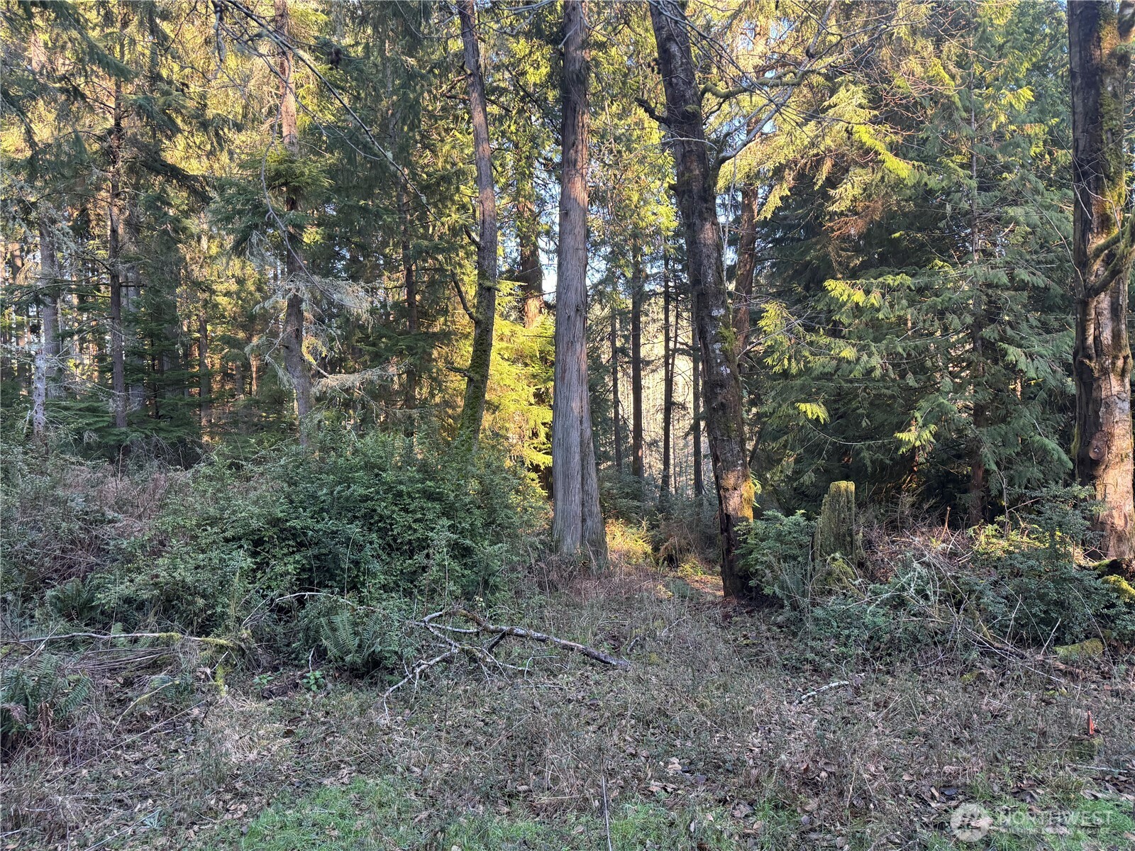 12719 & 12723 96th Street Court Anderson Island WA 98303