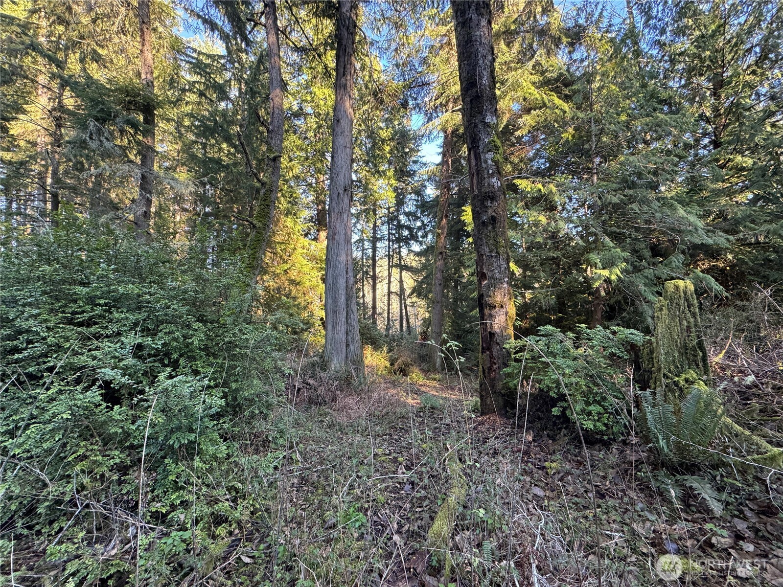 12719 & 12723 96th Street Court Anderson Island WA 98303