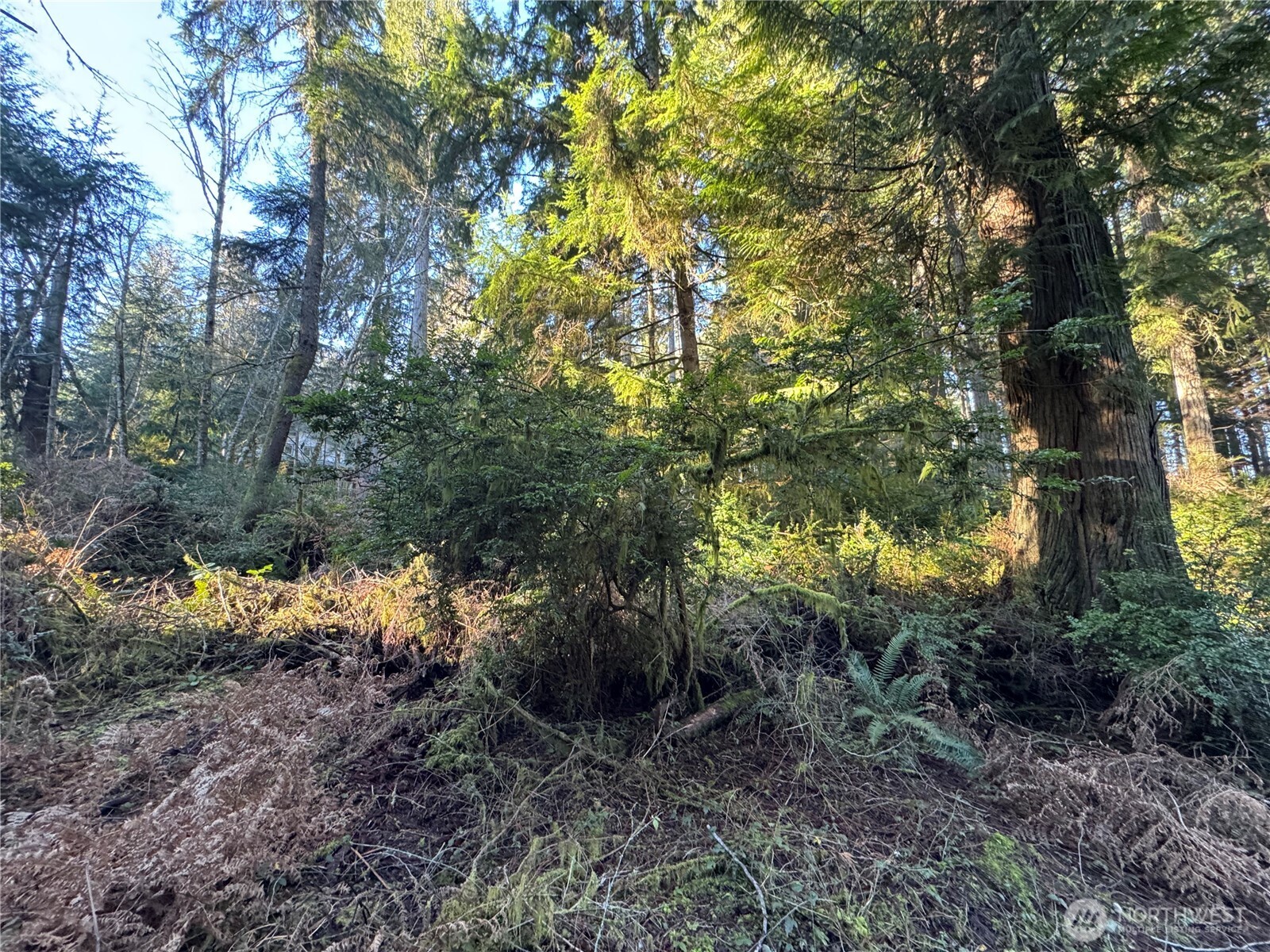 12719 & 12723 96th Street Court Anderson Island WA 98303