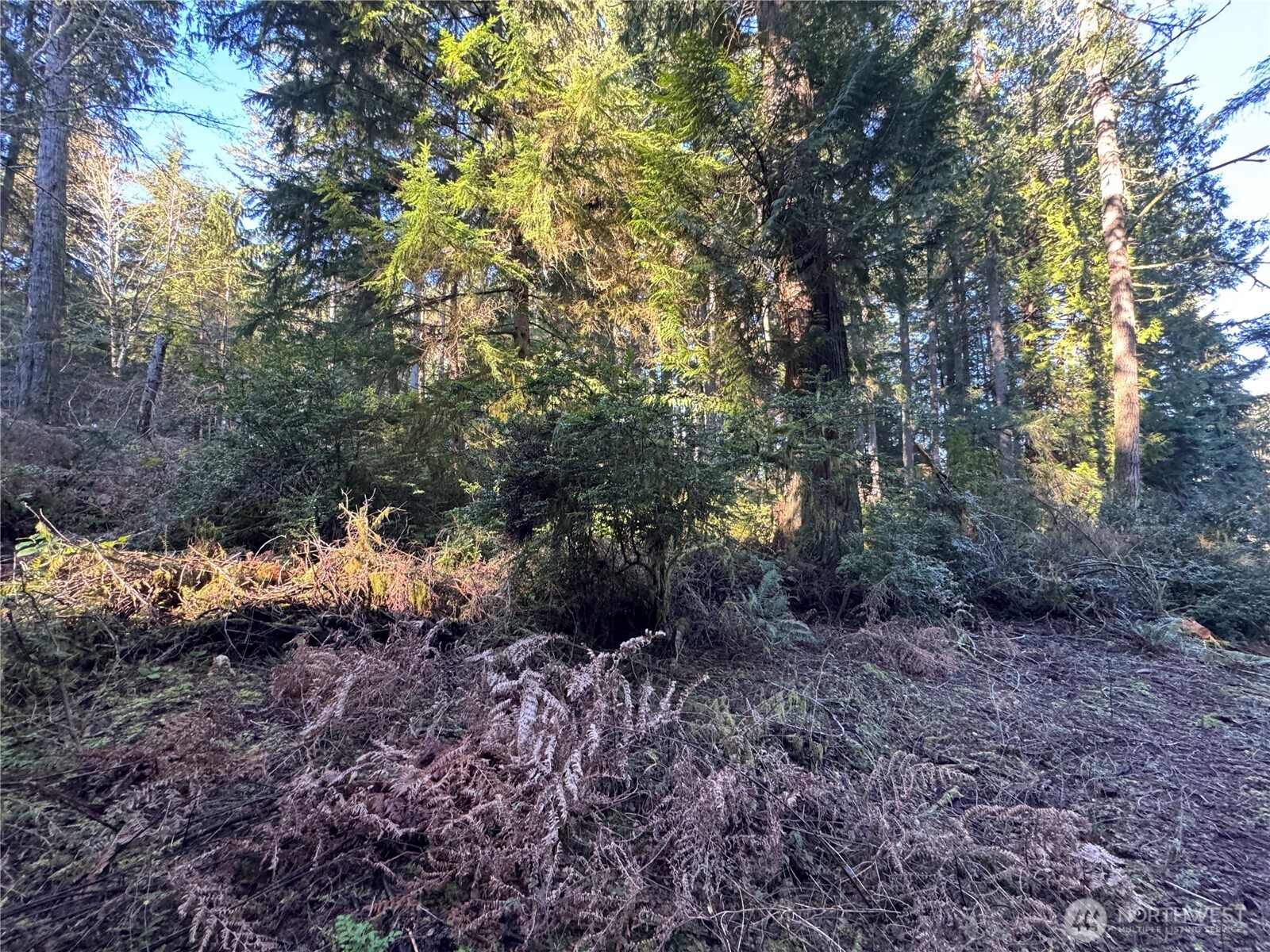 12719 & 12723 96th Street Court Anderson Island WA 98303