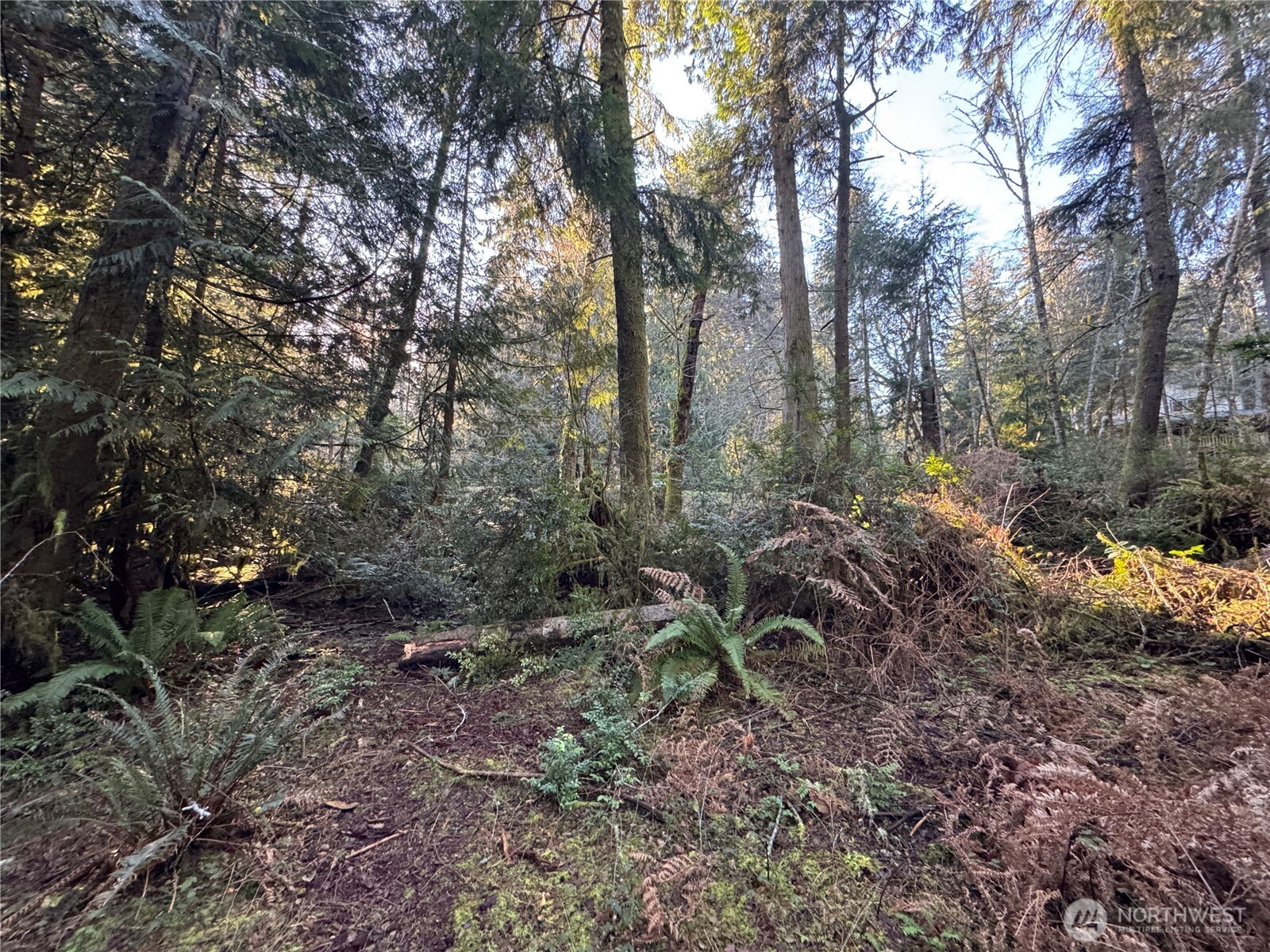 12719 & 12723 96th Street Court Anderson Island WA 98303