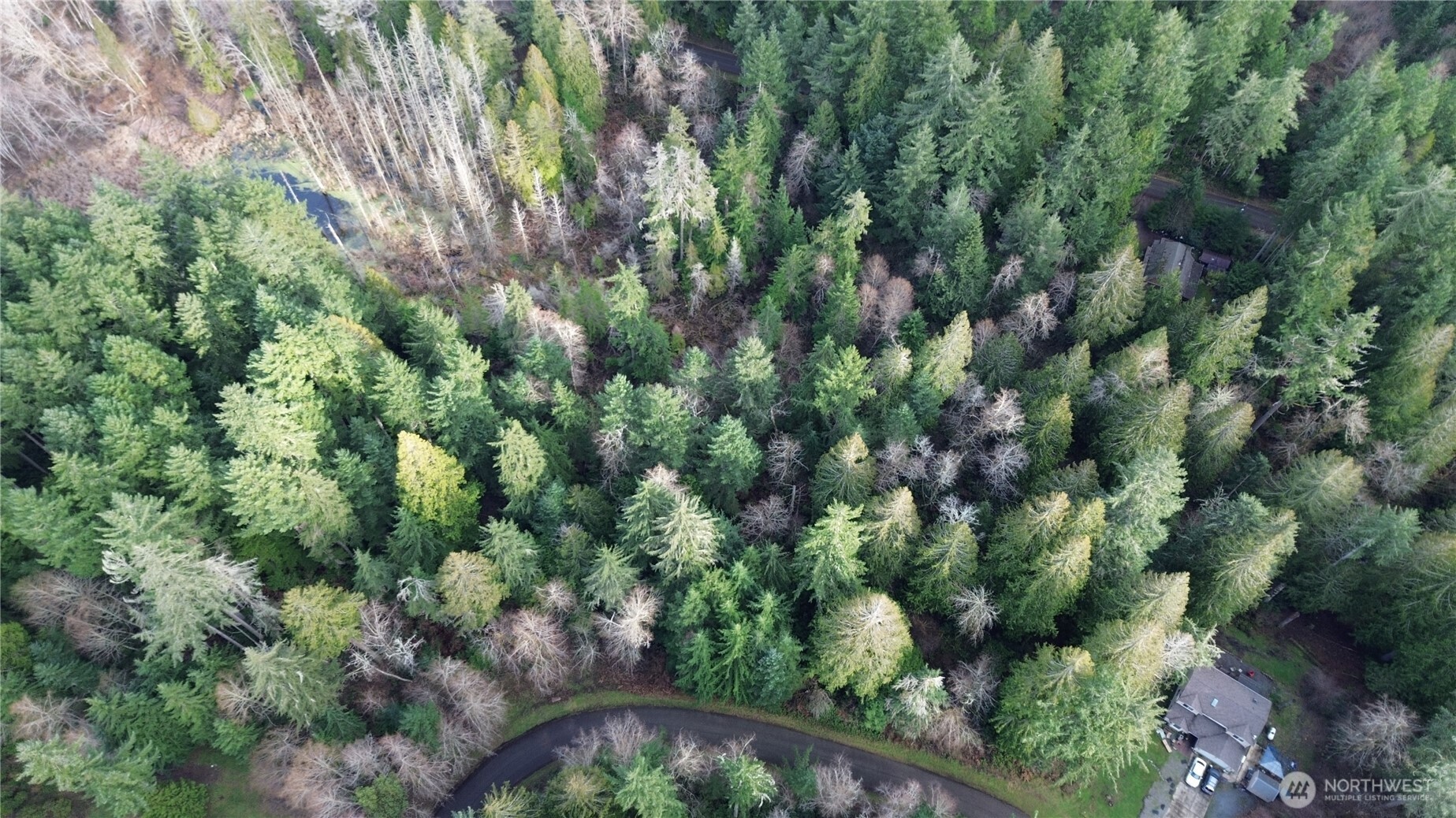 12719 & 12723 96th Street Court Anderson Island WA 98303
