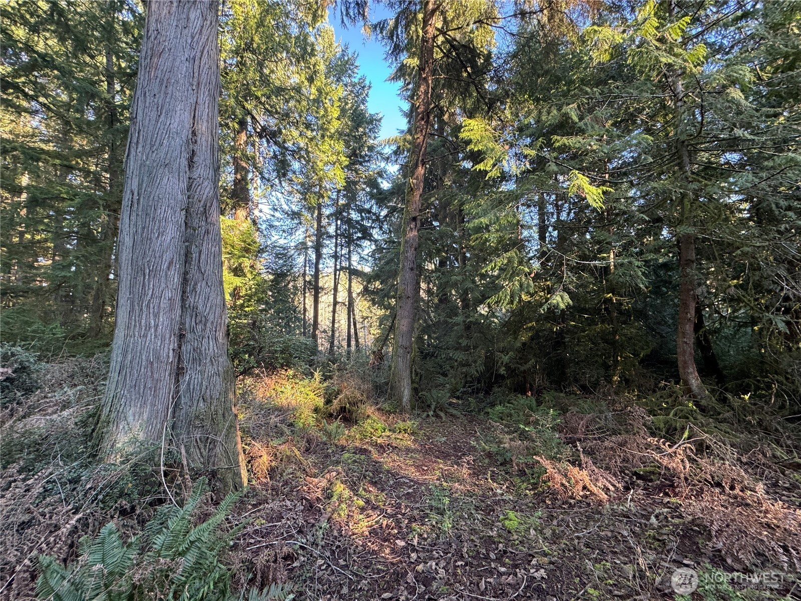 12719 & 12723 96th Street Court Anderson Island WA 98303