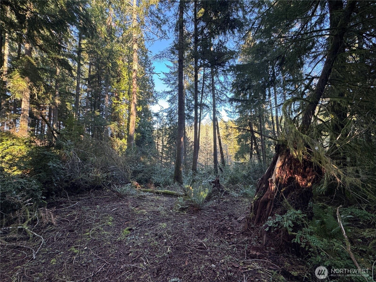 12719 & 12723 96th Street Court Anderson Island WA 98303