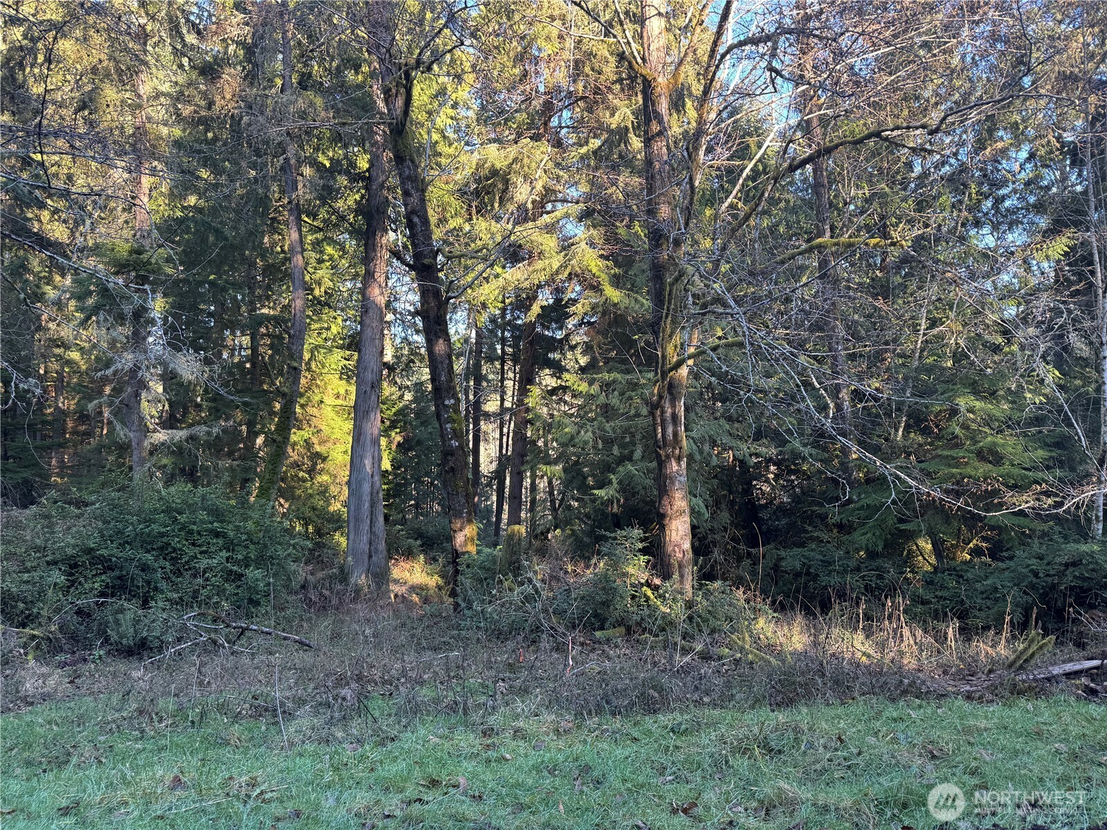 12719 & 12723 96th Street Court Anderson Island WA 98303