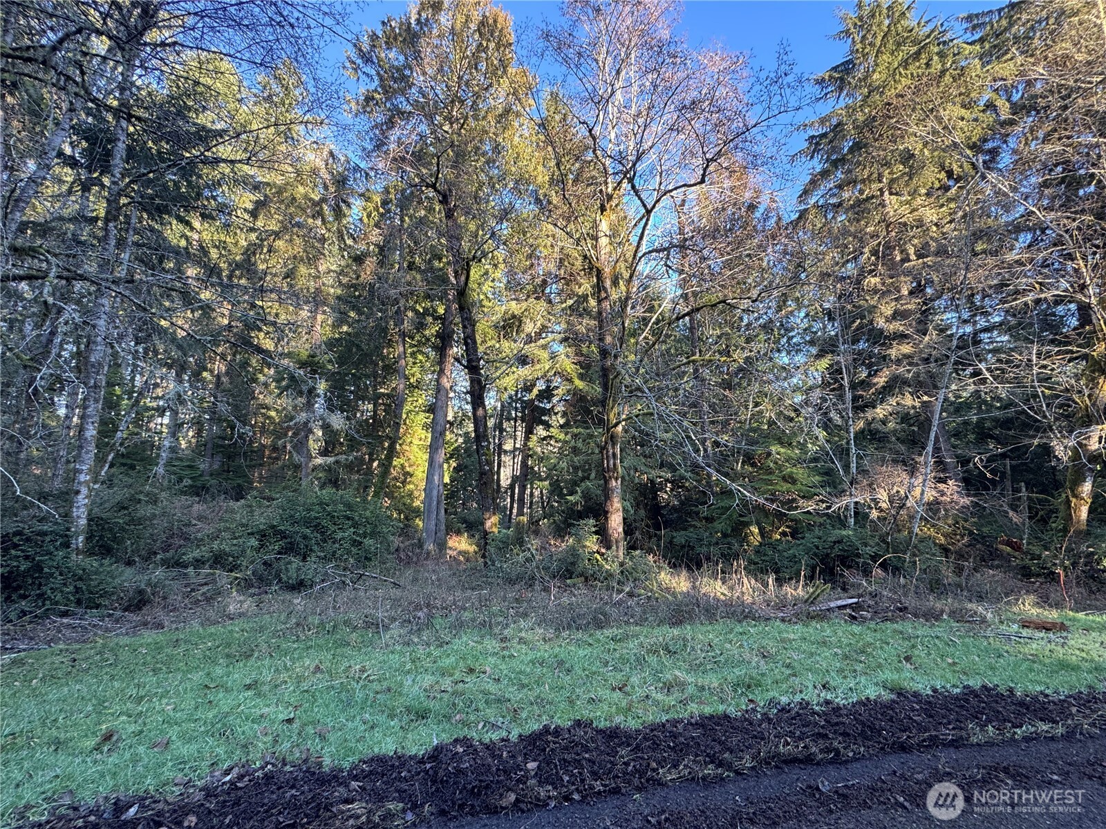 12719 & 12723 96th Street Court Anderson Island WA 98303