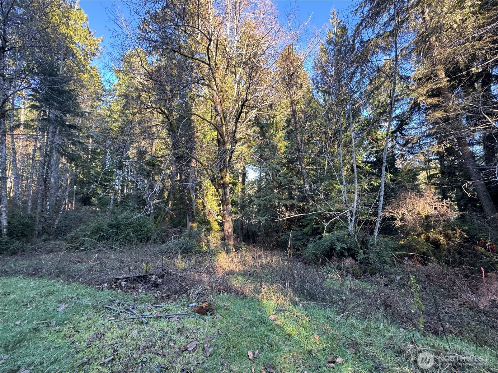 12719 & 12723 96th Street Court Anderson Island WA 98303