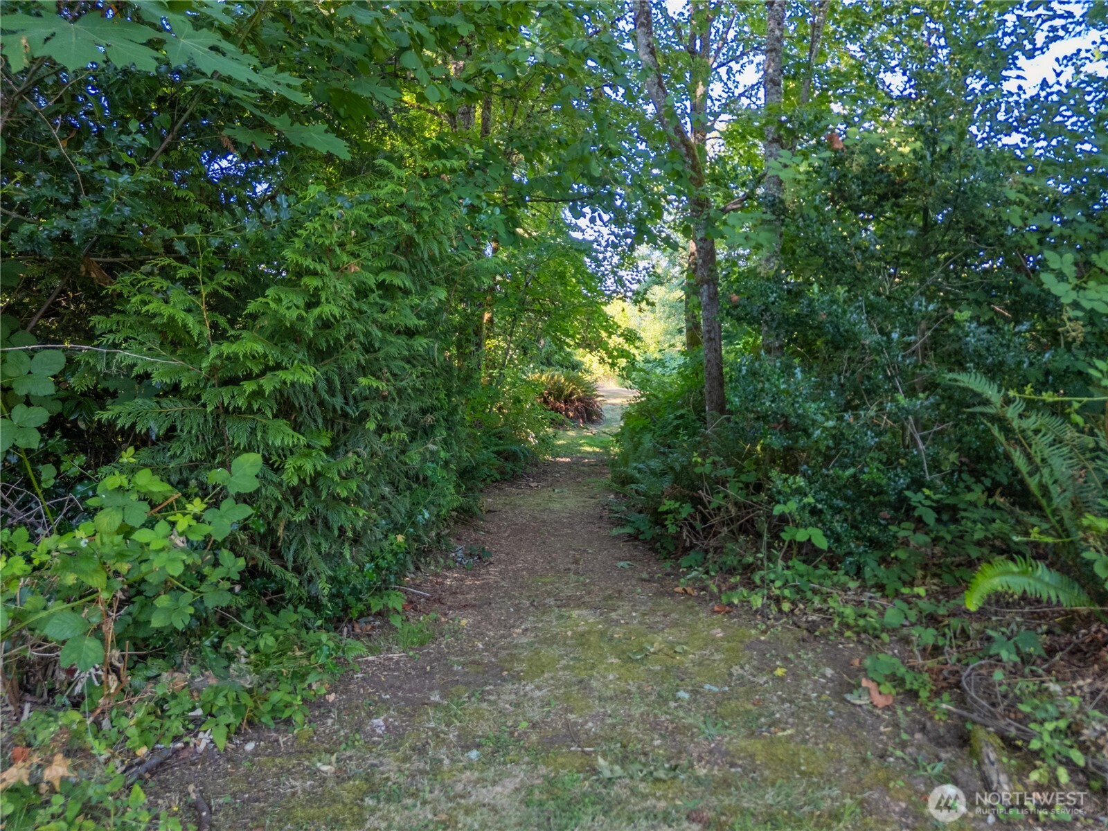 16621 188th Avenue SE Renton WA 98058