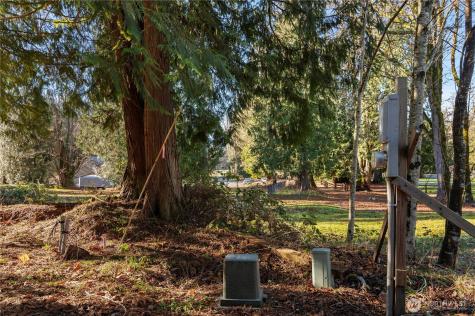43618 Scenic River Court Concrete WA 98237