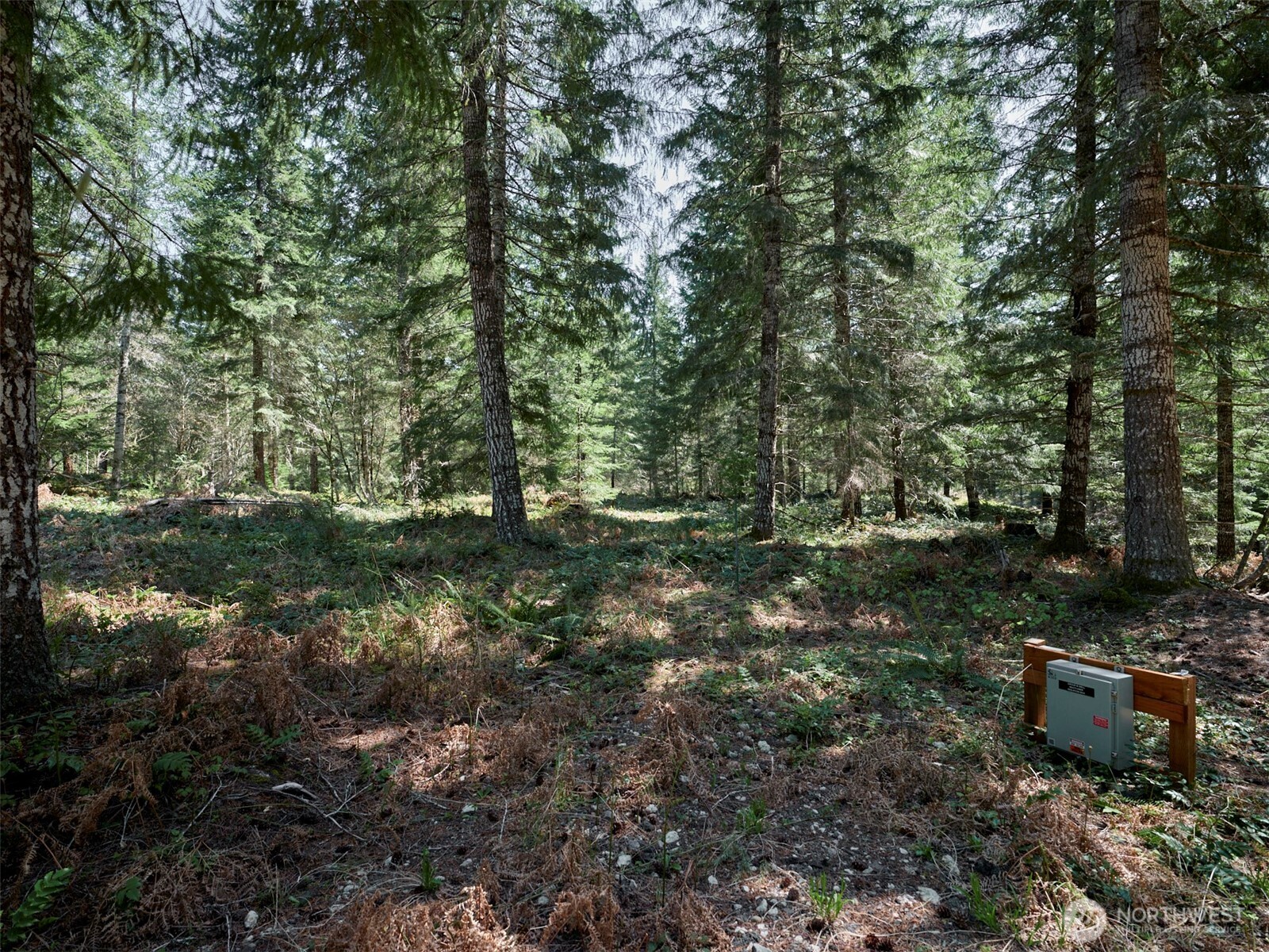 2 Loowit Lane Cougar WA 98616