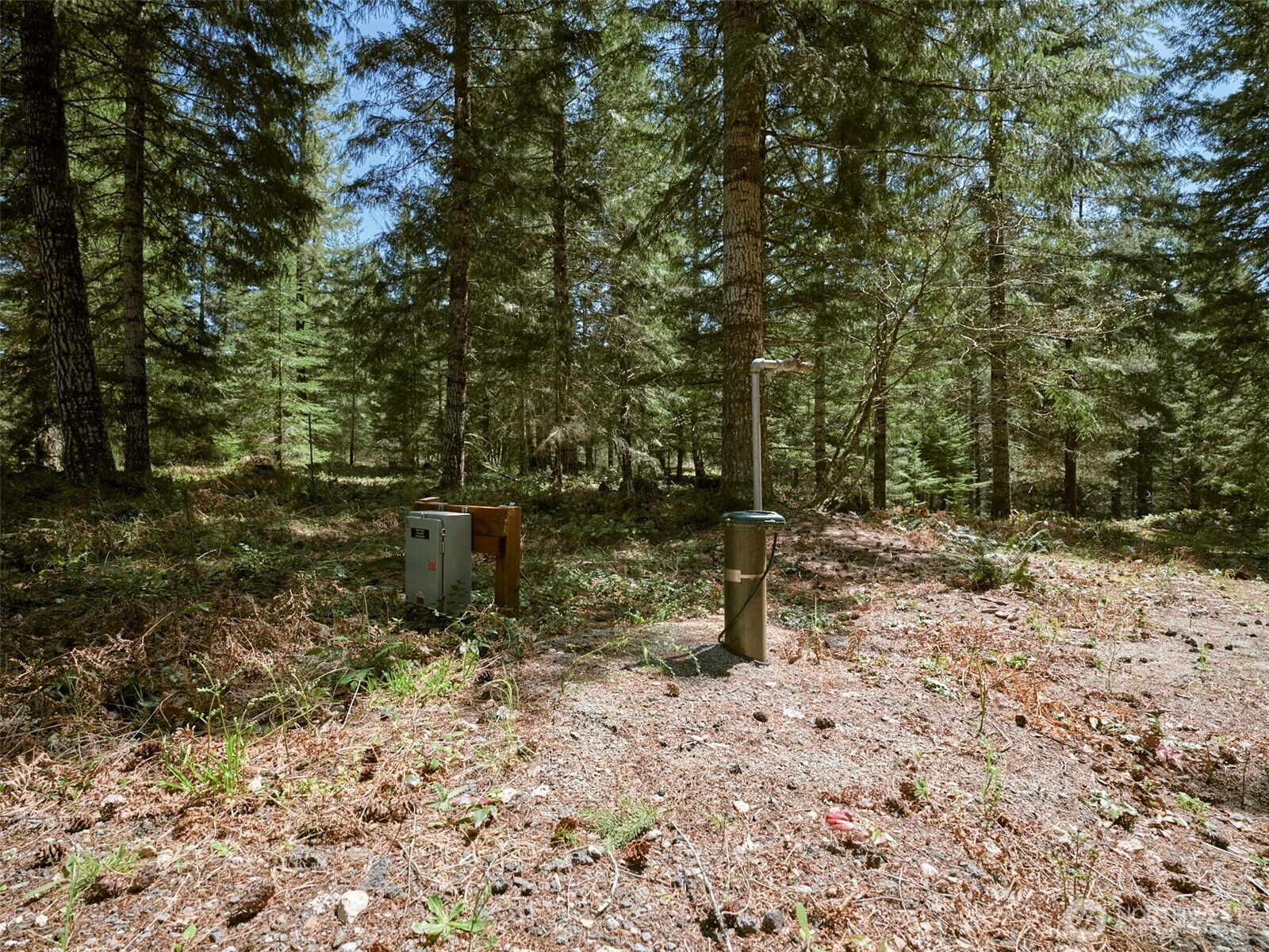 2 Loowit Lane Cougar WA 98616