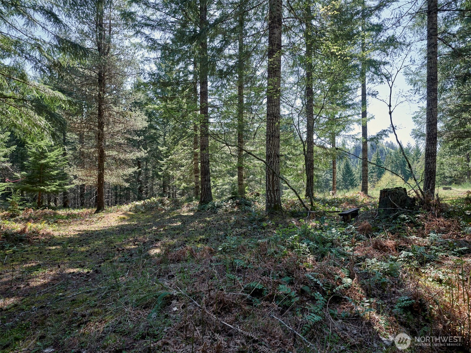 2 Loowit Lane Cougar WA 98616