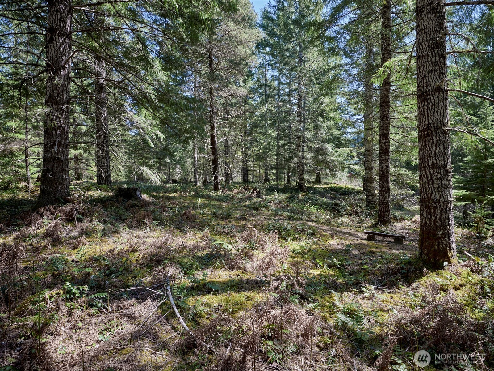 2 Loowit Lane Cougar WA 98616