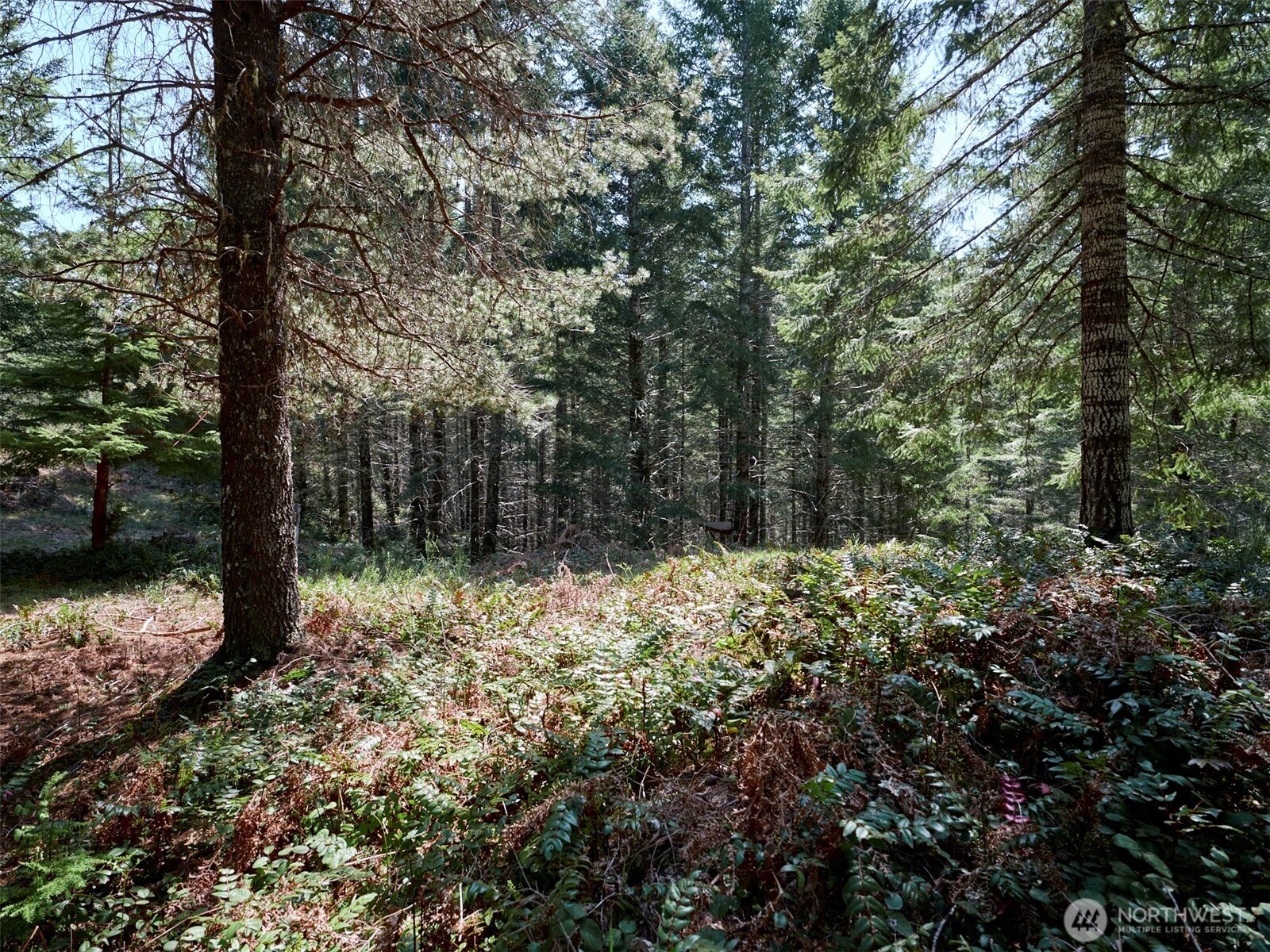 2 Loowit Lane Cougar WA 98616