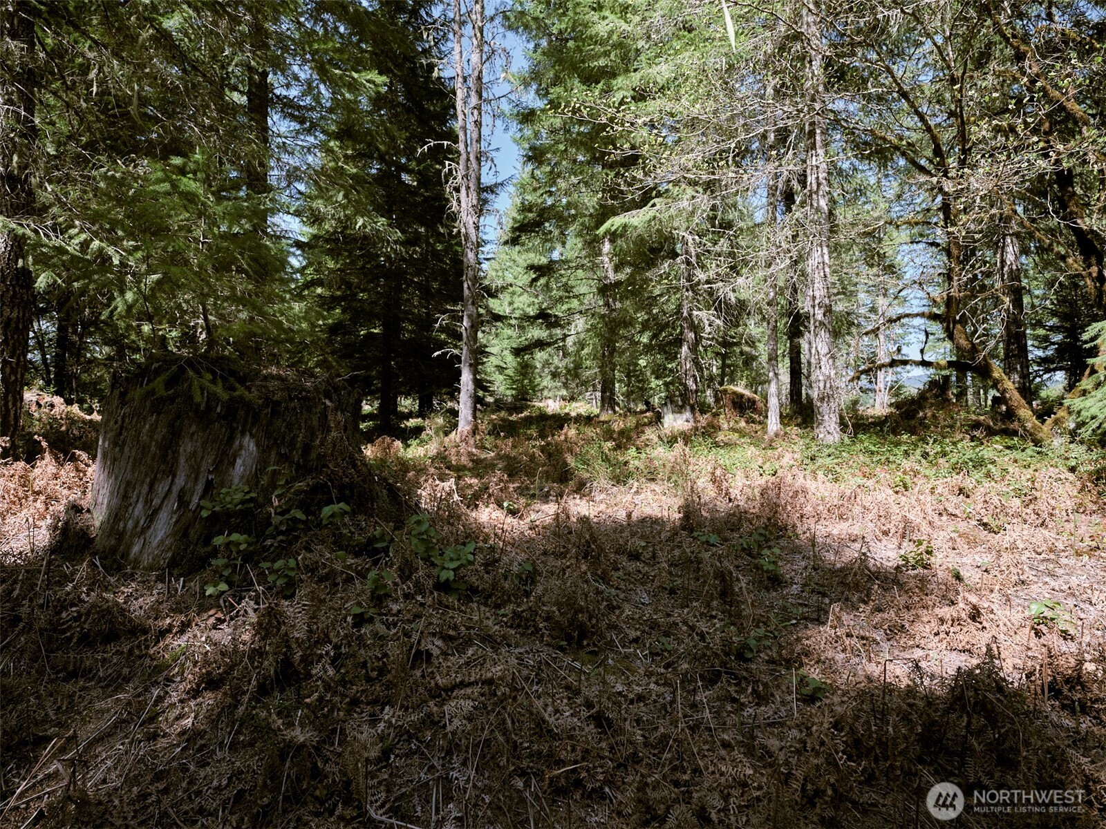 2 Loowit Lane Cougar WA 98616