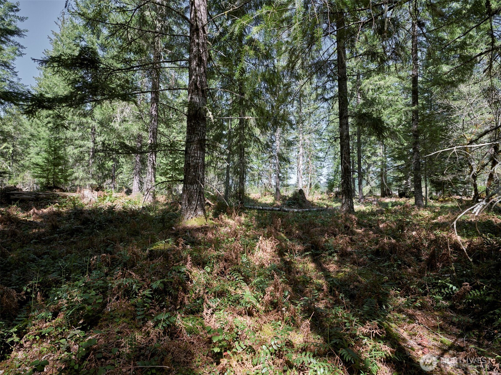 2 Loowit Lane Cougar WA 98616