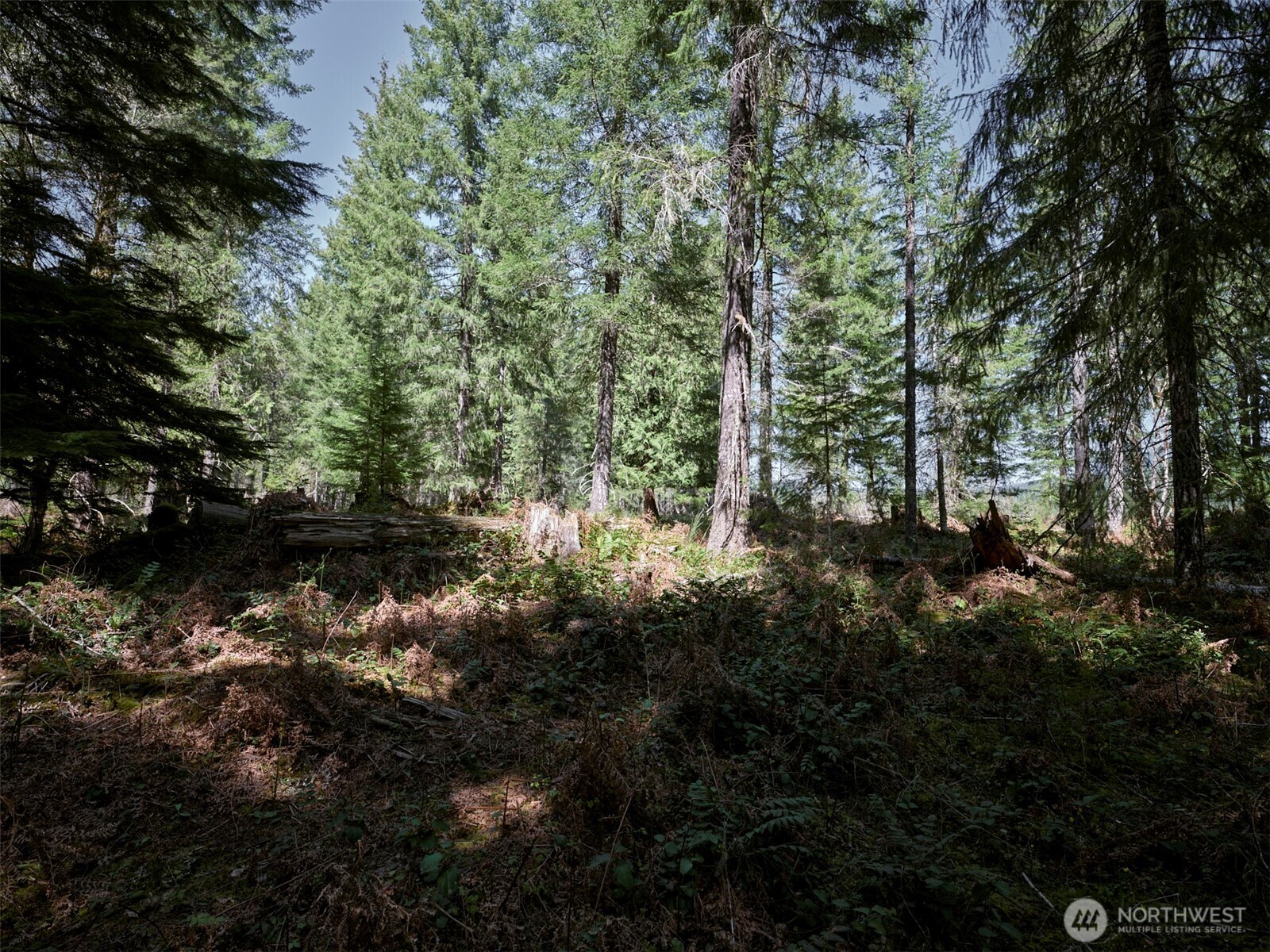 2 Loowit Lane Cougar WA 98616