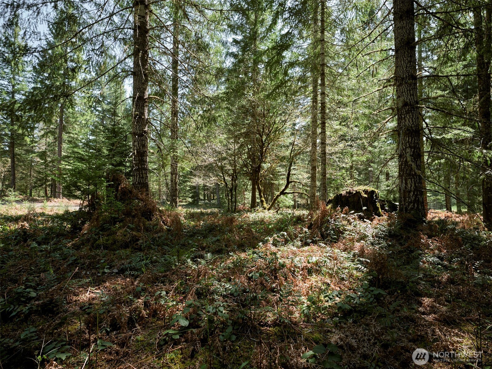 2 Loowit Lane Cougar WA 98616