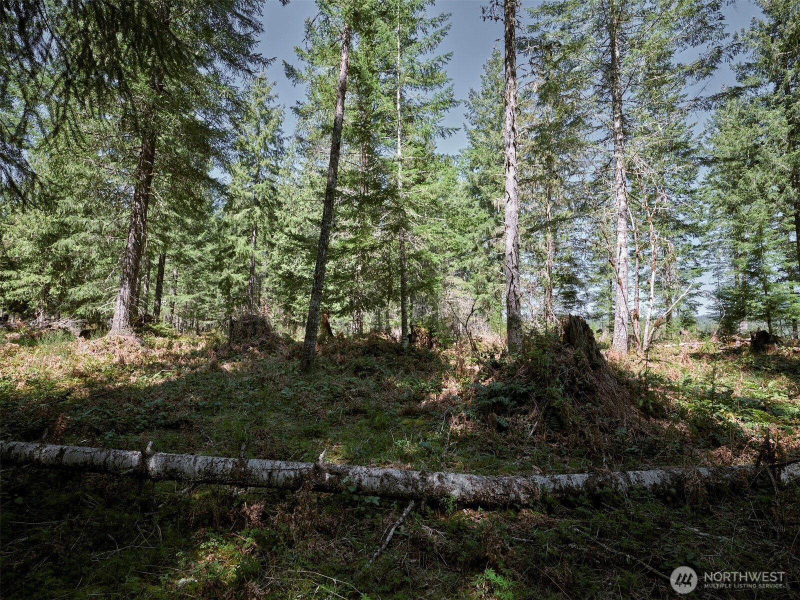 2 Loowit Lane Cougar WA 98616