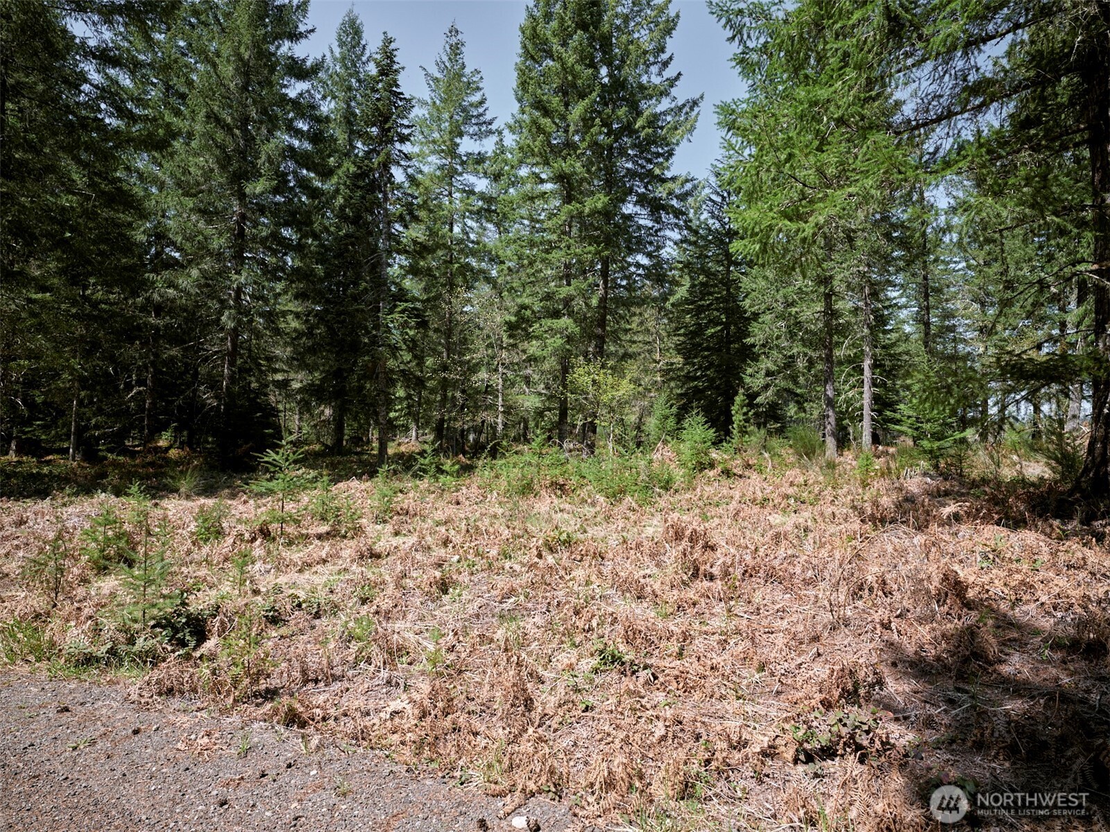 2 Loowit Lane Cougar WA 98616